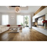 Теракота Meranti Roble 24x95 1 P0000199
