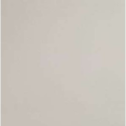 Granito Bone 60x60